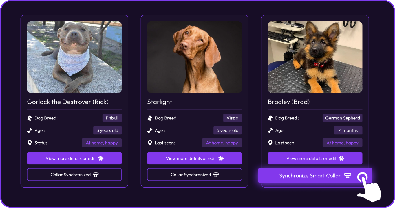 Pet cards with sync buttons