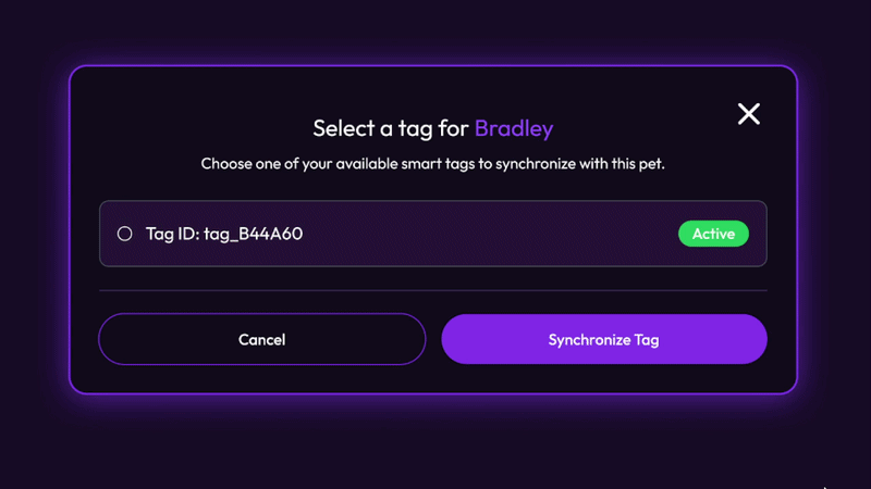Synchronize tag modal